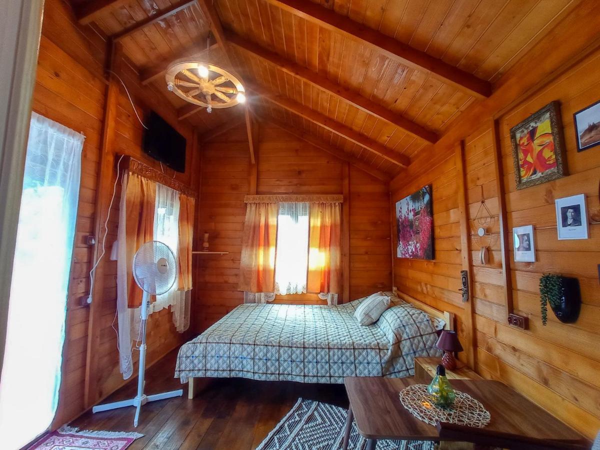 Bed and Breakfast Casa La Агапия Экстерьер фото